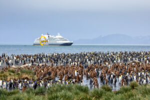 La vida secreta de los pingüinos en la Antártida