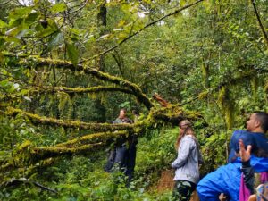 Estados, Maleta de viajes, viajeros, Sierra Gorda, Queretaro, conservación del medio ambiente, grupo ecológico Sierra Gorda