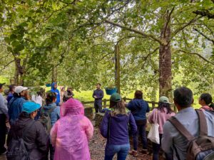 Tecnología y carbono: OpenForests digitaliza el carbono de la  Sierra Gorda