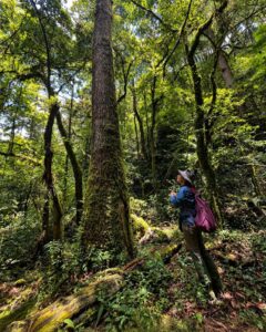 Estados, Maleta de viajes, viajeros, Sierra Gorda, Queretaro, conservación del medio ambiente, grupo ecológico Sierra Gorda