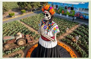 La Catrina Tlacualera ofrenda monumental en Milpa Alta que honra el patrimonio biocultural y a las mujeres del campo